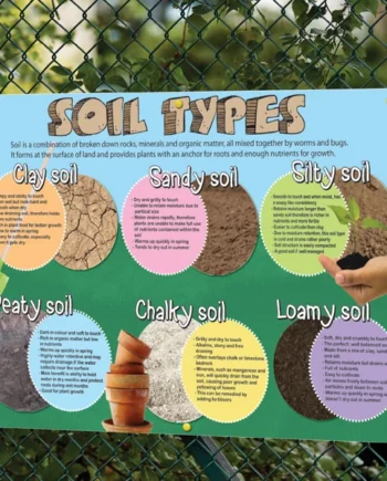 Plant Life - Soil
