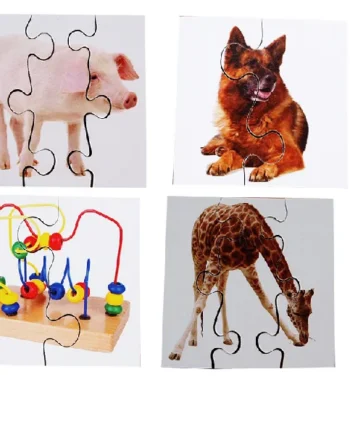 Real Life First Puzzles - Set of 24
