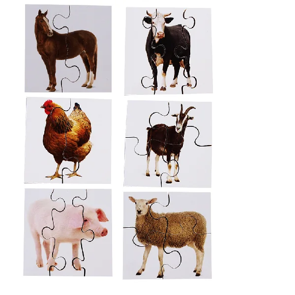 Real Life First Puzzles - Set of 24