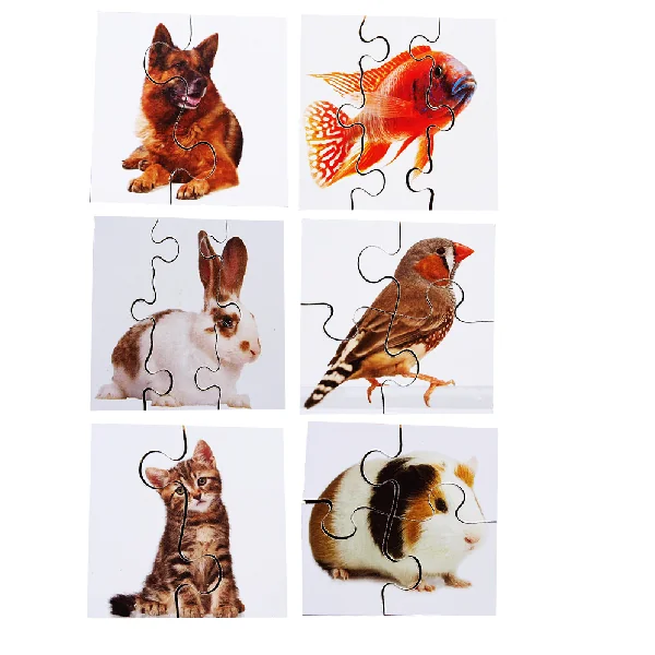 Real Life First Puzzles - Set of 24