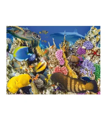 Science & Nature - Set of 4