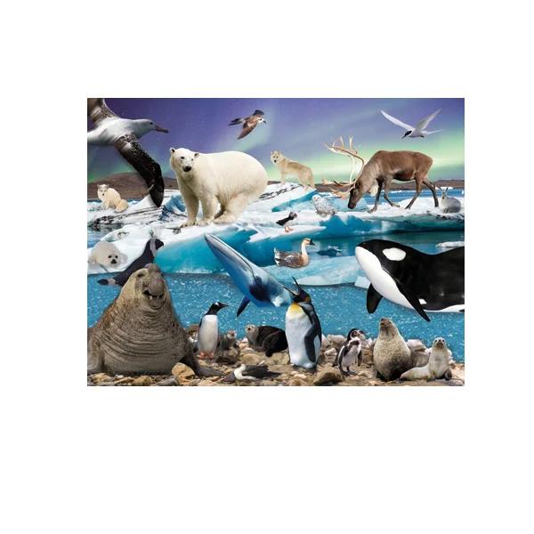 Science & Nature - Set of 4