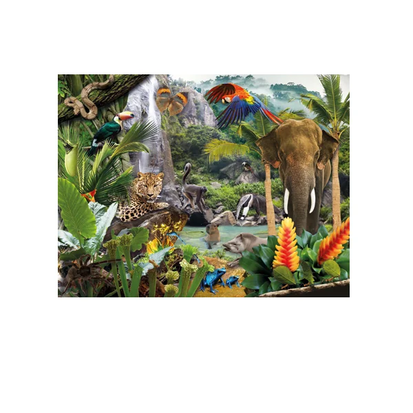 Science & Nature - Set of 4