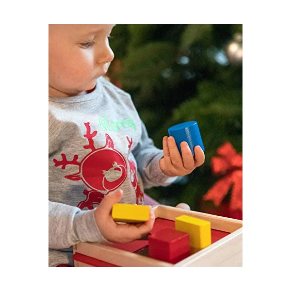 Selecta 62005 Wooden Sorting Box 14 cm