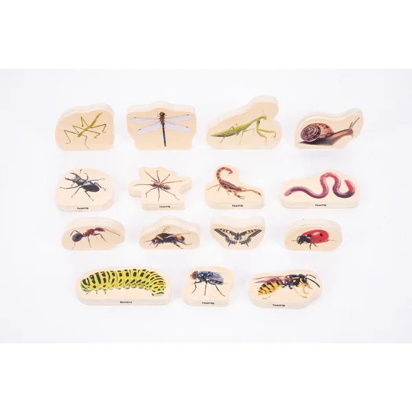 Sensory Mood Discovery Table with Jurassic Bundle
