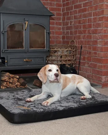 Snoozzzeee Dog Deluxe Reversible Pet Mat 28" x 39" in Black
