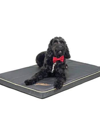 Snoozzzeee Dog® Xtreme Water Resistant Pet Mat in Three Colours, 70cm x 100cm
