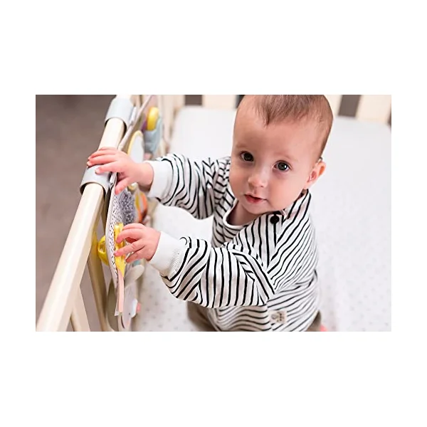 Taf Toys Urban Garden Developmental Centre. Tummy Time Sensory Music & Light Toy with 13 Activities. Suitable for Boys & Girls from 0 Months +