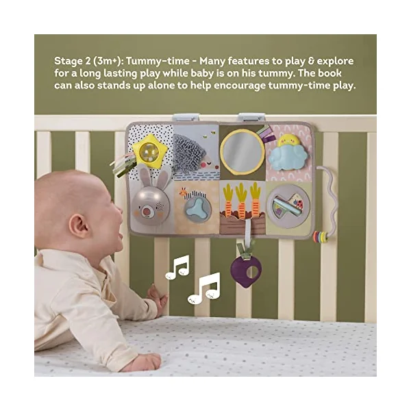 Taf Toys Urban Garden Developmental Centre. Tummy Time Sensory Music & Light Toy with 13 Activities. Suitable for Boys & Girls from 0 Months +