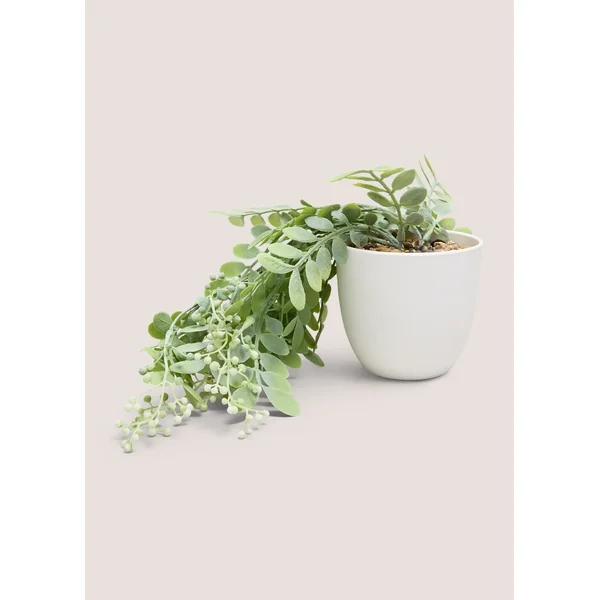 Trailing Plant In White Pot