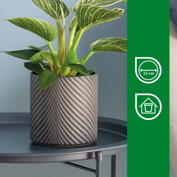 Verve Black Ceramic Plant pot (Dia) 13cm, (H)13cm