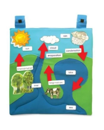 Water Cycle Wall Chart