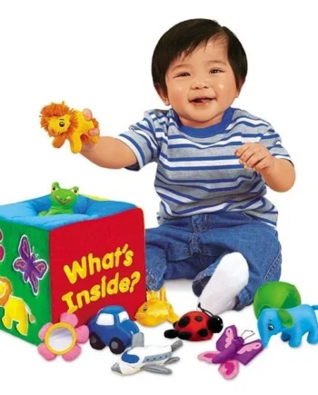 What's Inside Feely Box