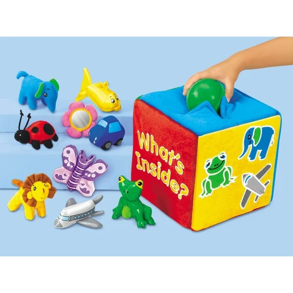 What's Inside Feely Box