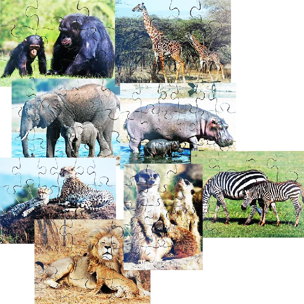 Wild Animals and their Young Puzzles - Set of 8
