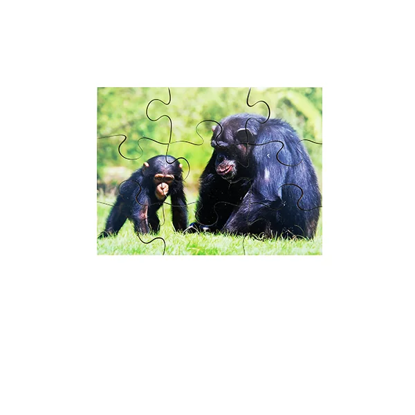 Wild Animals and their Young Puzzles - Set of 8