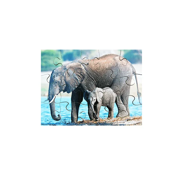 Wild Animals and their Young Puzzles - Set of 8