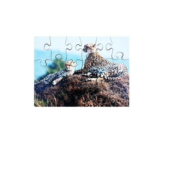 Wild Animals and their Young Puzzles - Set of 8