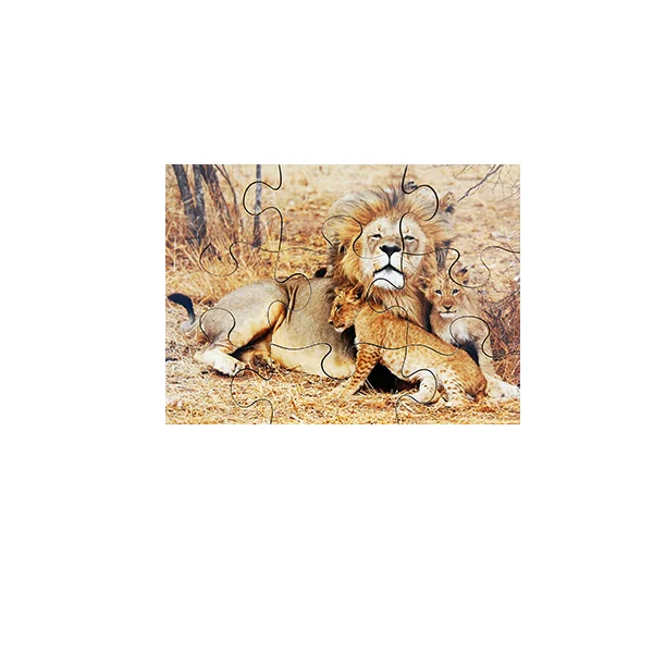 Wild Animals and their Young Puzzles - Set of 8