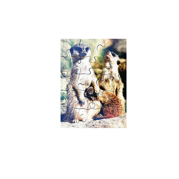 Wild Animals and their Young Puzzles - Set of 8
