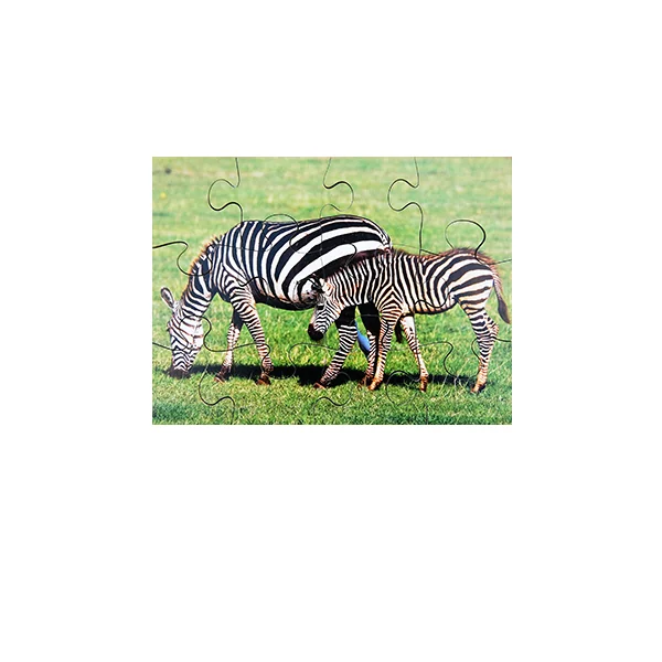 Wild Animals and their Young Puzzles - Set of 8
