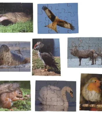 Wildlife Puzzles - Set of 8