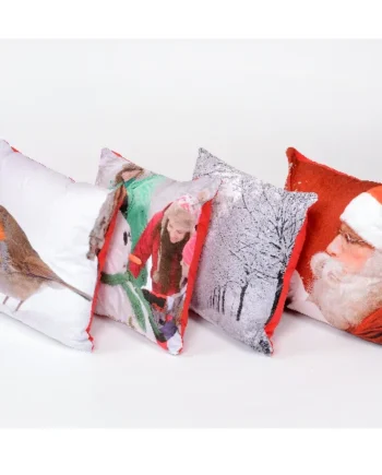 Winter Scatter Cushions