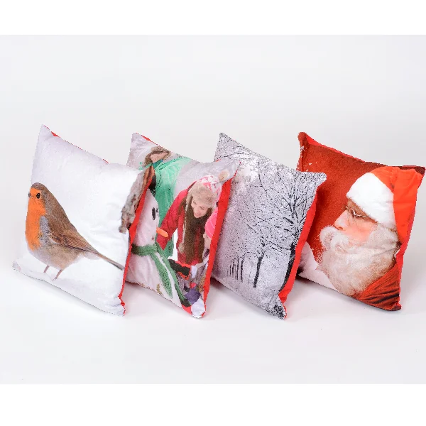 Winter Scatter Cushions