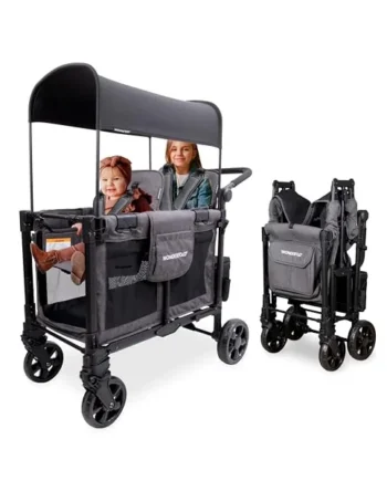 WONDERFOLD W2 Elite Pro Stroller (2-Seater) - Folding Stroller Wagon with Removable Reversible Seats with 5-Point Harnesses, Adjustable Push Handle and Adjustable Canopy, Charcoal Gray